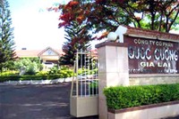 Quốc Cường Gia Lai “xui xẻo” tới mức nào?