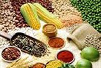 Việt Nam tiếp tục xuất siêu sang châu Phi