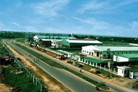 MPC: Nhà máy Minh Phú - Hậu Giang đã có lãi