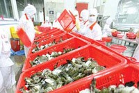 Ảnh minh họa: Internet