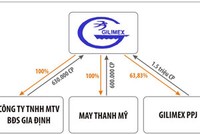 Sở hữu chéo và những câu hỏi