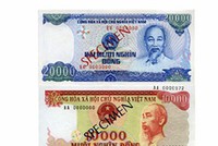 Đình chỉ lưu hành tiền cotton loại 10.000 đồng và 20.000 đồng