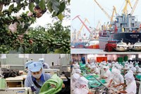 Chín điểm sáng trong xuất khẩu