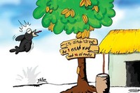 Cây Khế tân thời