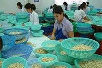 Lafooco chết vì dự báo sai