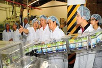 Vinamilk đã đoạn tuyệt với cà phê và bia để về với sữa