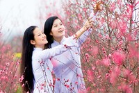 Yêu hoa cũng phải biết đường chọn hoa…
