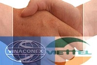 VVF chia 7% cổ tức 2012