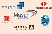Lợi nhuận năm 2012 của MSN giảm vì Techcombank