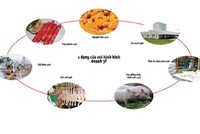 Cuộc bành trướng của C.P