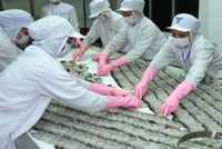 Camimex: Tái cấu trúc để tối đa hóa giá trị