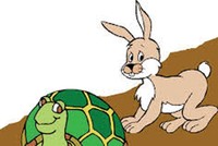 Bài học từ rùa và thỏ