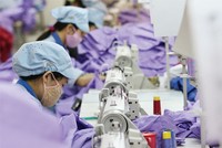 Trốn bảo hiểm xã hội, xử lý cách nào?