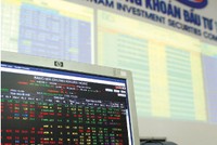 Chỉ canh theo động thái mua cổ phiếu quỹ để “đu” theo thì không phải là ứng xử của nhà đầu tư chuyên nghiệp