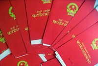 Thanh Hóa: Nông dân mắc bẫy "quý bà"