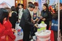 Đón Tết, vật liệu hoàn thiện nhà ở hút khách 