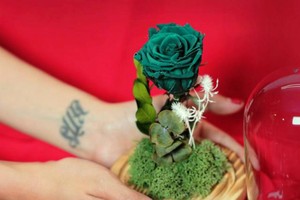 Hoa hồng 'tươi mãi mãi' gần triệu đồng một bông