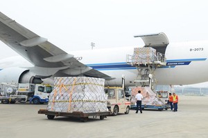 Dịch vụ hàng hóa Sài Gòn (SCS): Doanh thu, lợi nhuận giảm khoảng 10% trong quý III