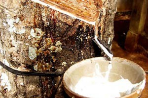 DPR: lợi nhuận 4 tháng sụt giảm mạnh