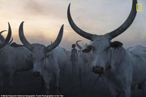Những bức ảnh tuyệt đẹp trong giải thưởng ảnh du lịch của National Geographic 2018
