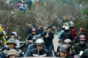 Người dân Thủ đô rộn ràng sắm Tết