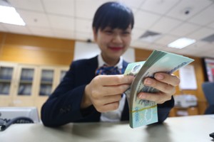 COM, VNL, NCT, CSV sắp tạm ứng cổ tức năm 2018