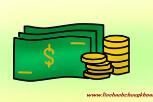 Áp lực cho việc thoái vốn