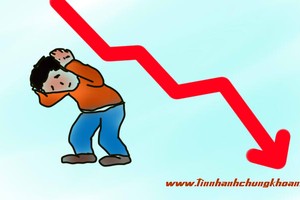 Đua theo ETF, nhà đầu tư ngậm trái đắng