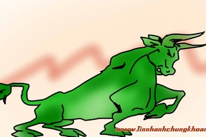 Tháng 7, chứng khoán tăng điểm mừng sinh nhật thứ 15