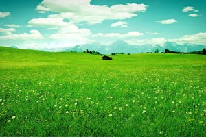 Sau cơn mưa trời lại sáng