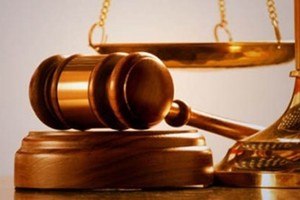 DLR: Ủy viên HĐQT bị phạt 42,5 triệu đồng vì mua chui cổ phiếu