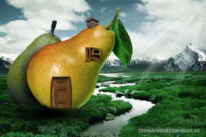 Góc nhìn chuyên gia tuần mới: Cổ phiếu nào sẽ hút tiền?