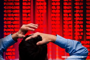 Nhìn lại những cú sốc thông tin bắt bớ của chứng khoán Việt Nam
