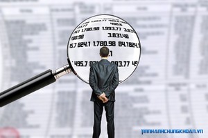 Doanh nghiệp giải trình sơ sài do luật không có quy định?