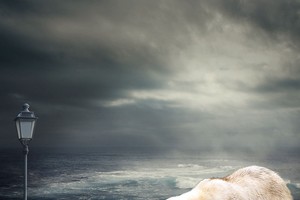 Nhận định thị trường phiên 4/3: Bắt đầu vào khu vực có cản mạnh