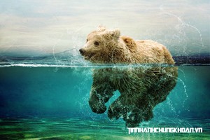 [interActive] Chứng khoán tuần qua: Dòng tiền chuyển hướng