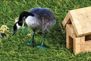 Những ngày mưa gió, rất đàn bà