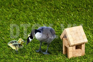 Kiếm tìm tình yêu