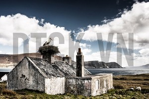 Nhận định thị trường phiên 1/3: Theo dõi các mã đang tập trung được dòng tiền