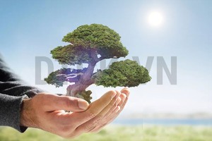 Nhận định thị trường phiên 10/1: Có thể thực hiện mua trading