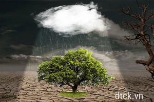 Nhận định thị trường phiên 16/5: Cơ hội cho dòng tiền đến muộn