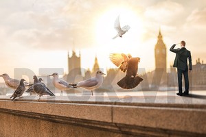 Chứng khoán ngược chiều GDP