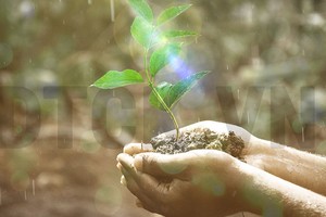 [interActive] Chứng khoán tuần qua (24-28/8): Tiền ồ ạt trở lại thị trường