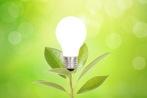 Nhận định thị trường phiên giao dịch chứng khoán ngày 19/8: Tận dụng những nhịp điều chỉnh mạnh để tích lũy cổ phiếu 