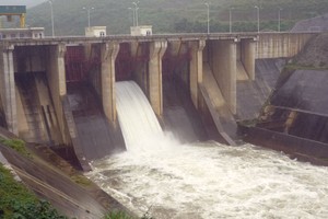 CHP đặt mục tiêu đạt trên 213 tỷ đồng lợi nhuận