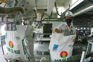 DCM đạt 584 tỷ đồng lợi nhuận trước thuế