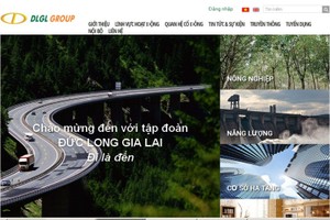 DLG bán 2 công ty con cho 2 cá nhân