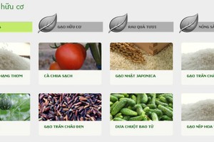 NSC trả cổ tức 15% vào ngày 10/9