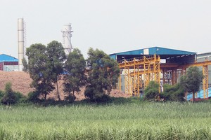 SLS: cổ đông muốn đặt kế hoạch kinh doanh cao