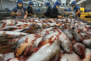 Vĩnh Hoàn lãi hơn 186 tỷ đồng trong 6 tháng